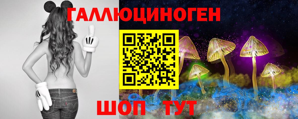 Галлюциногенные грибы мухоморы Барабинск